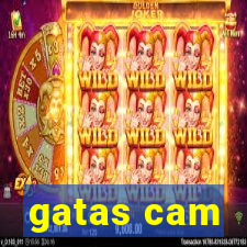 gatas cam